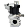 NISSA 1471000Q0S EGR Valve